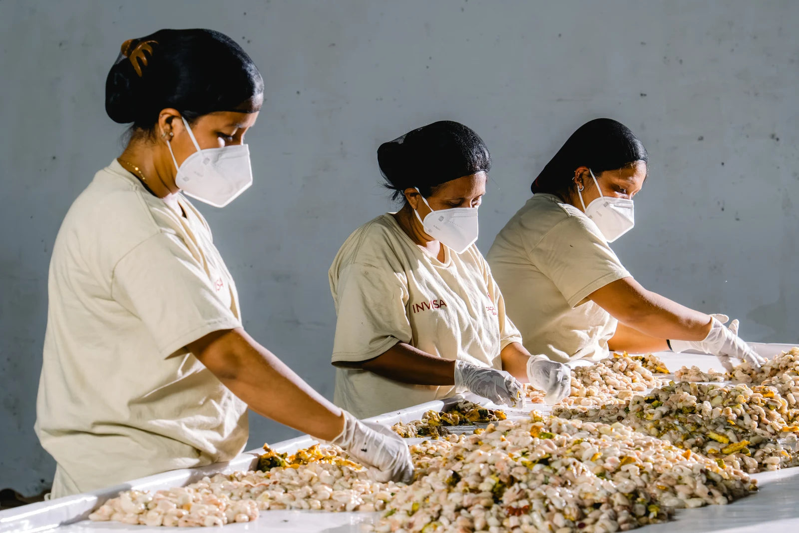 Manually sorting and selecting fresh cacao beans