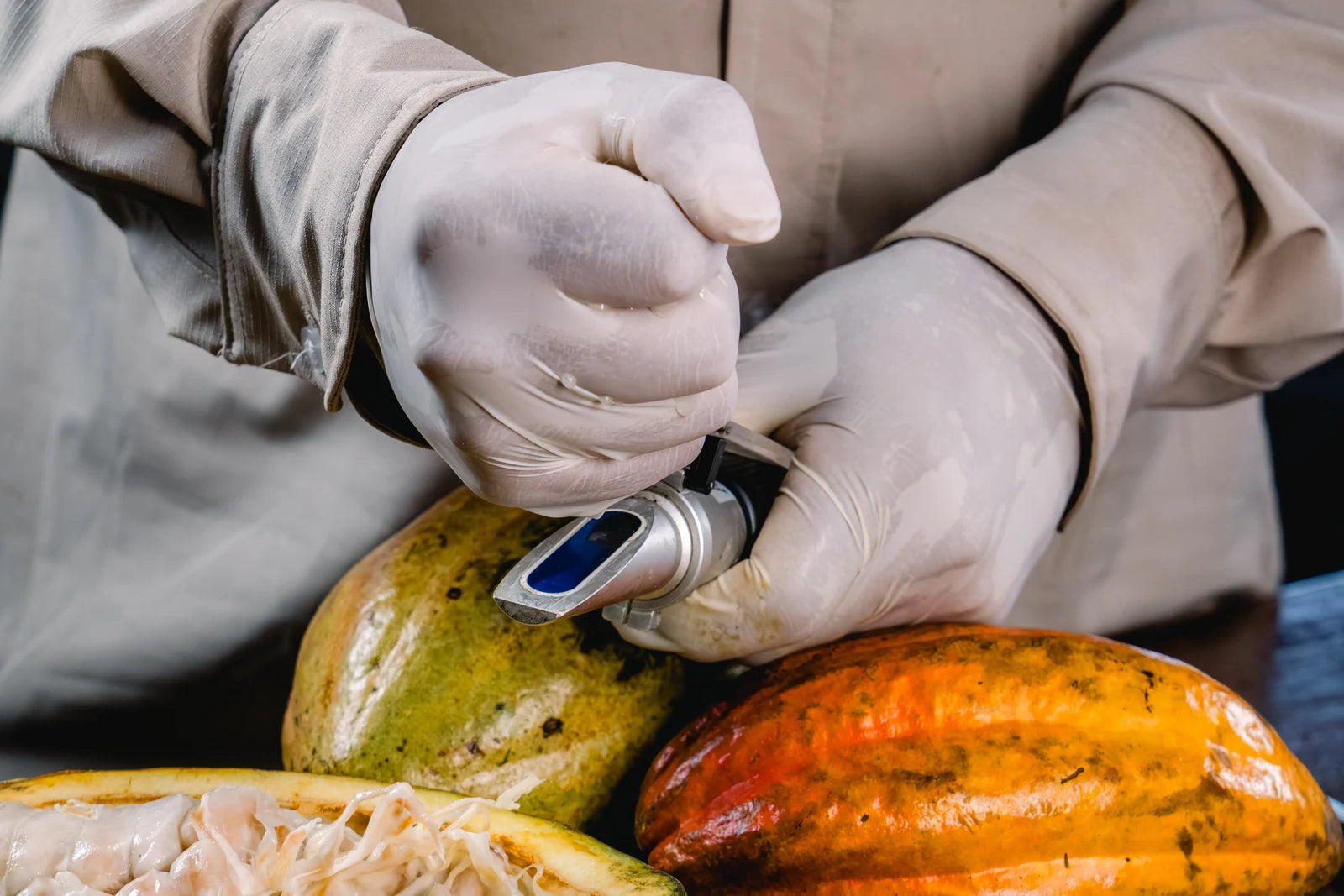 Measuring cacao quality during fermentation