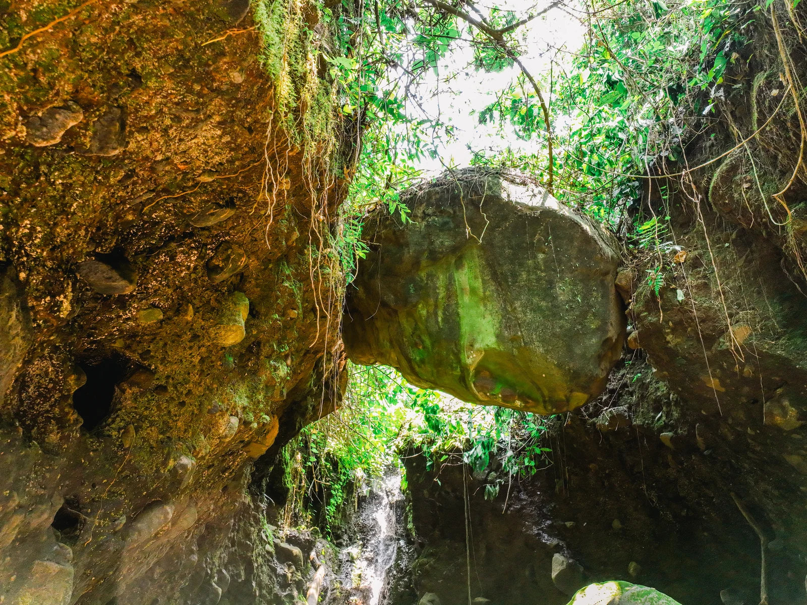 Rainforest rock formations and a spring near the farm