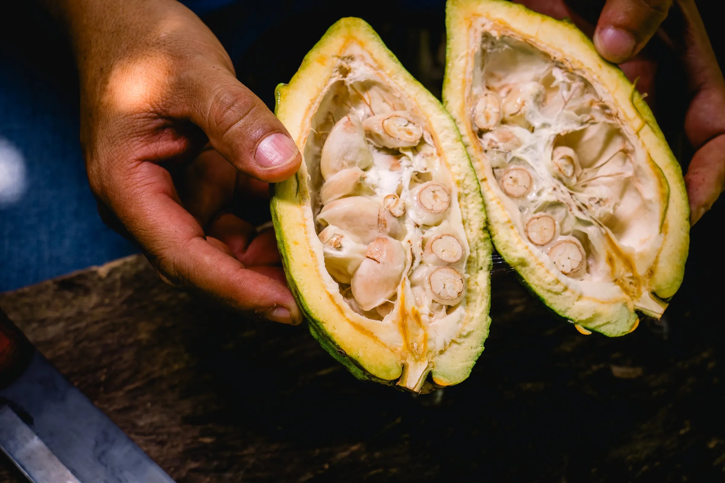 The Superfood Science: 6 Reasons Cacao Belongs in Your Daily Ritual