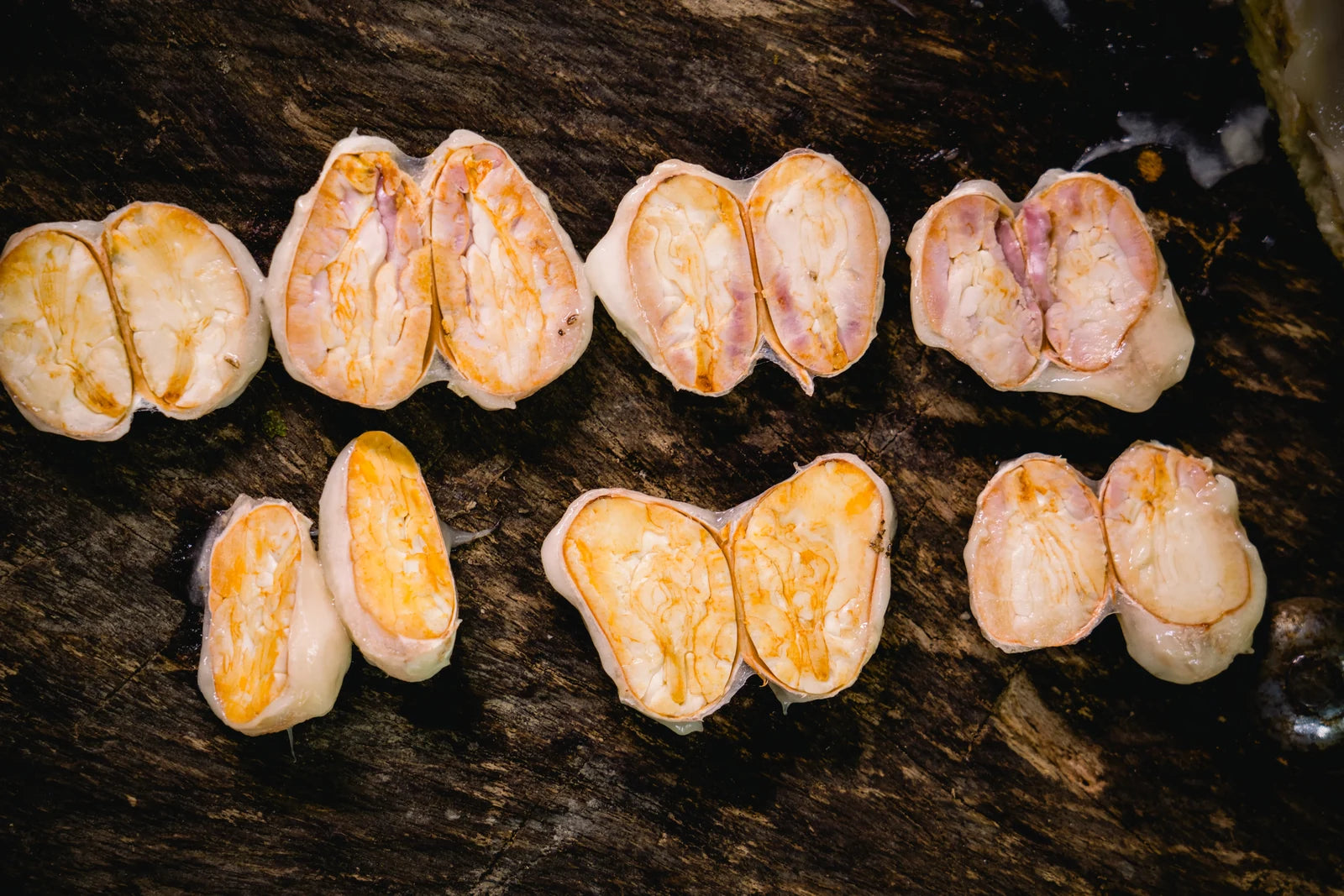 Sustainability at the Source: How We Farm Without Compromise